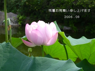 zansyo_2006.jpg